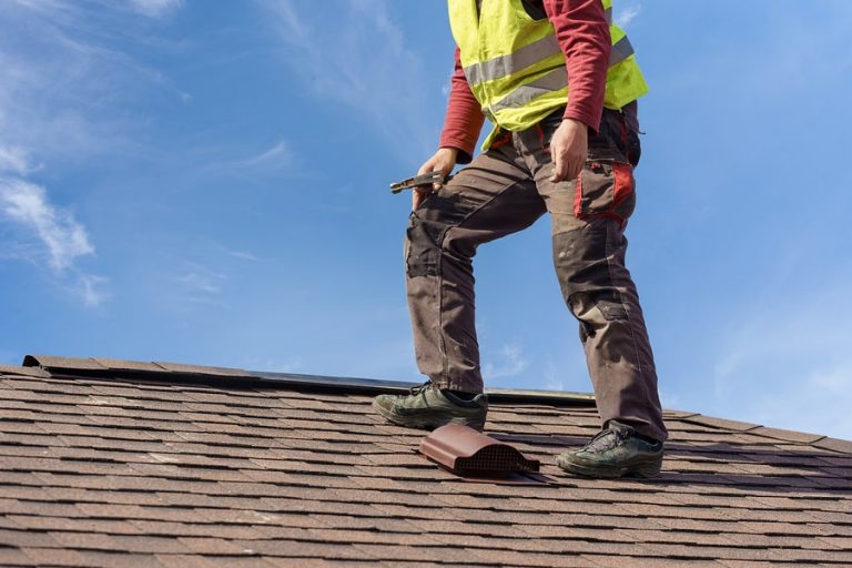 Roof Inspector