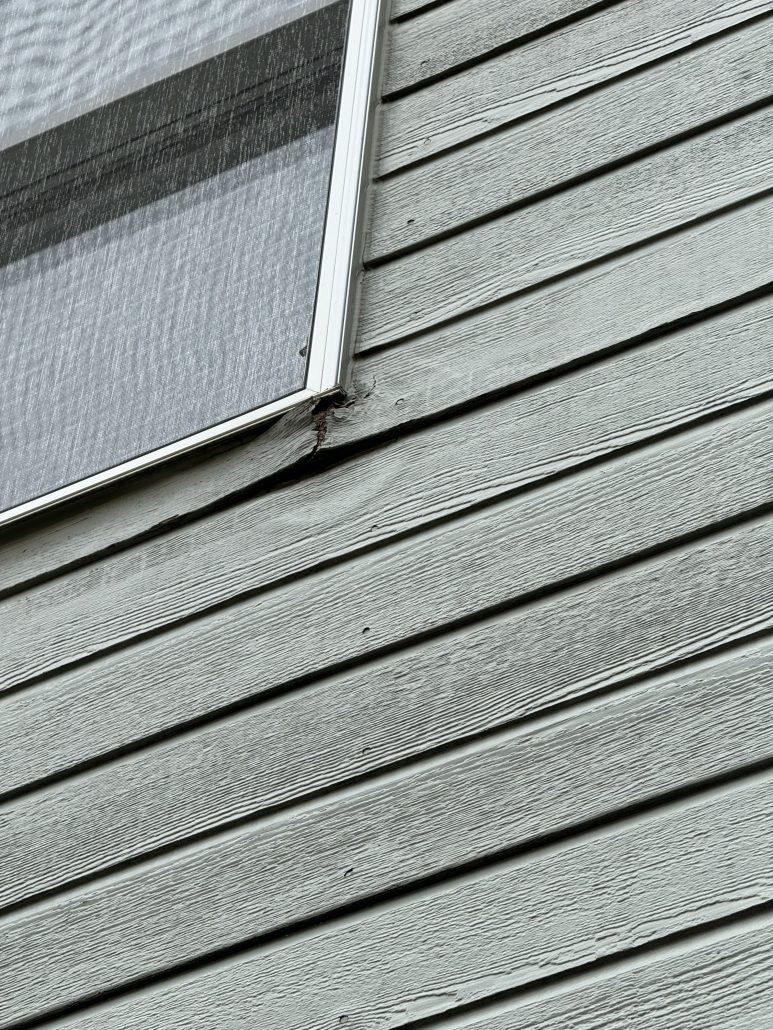 4379932e 5ea5 493a B5fa 84ab4d2e4a76