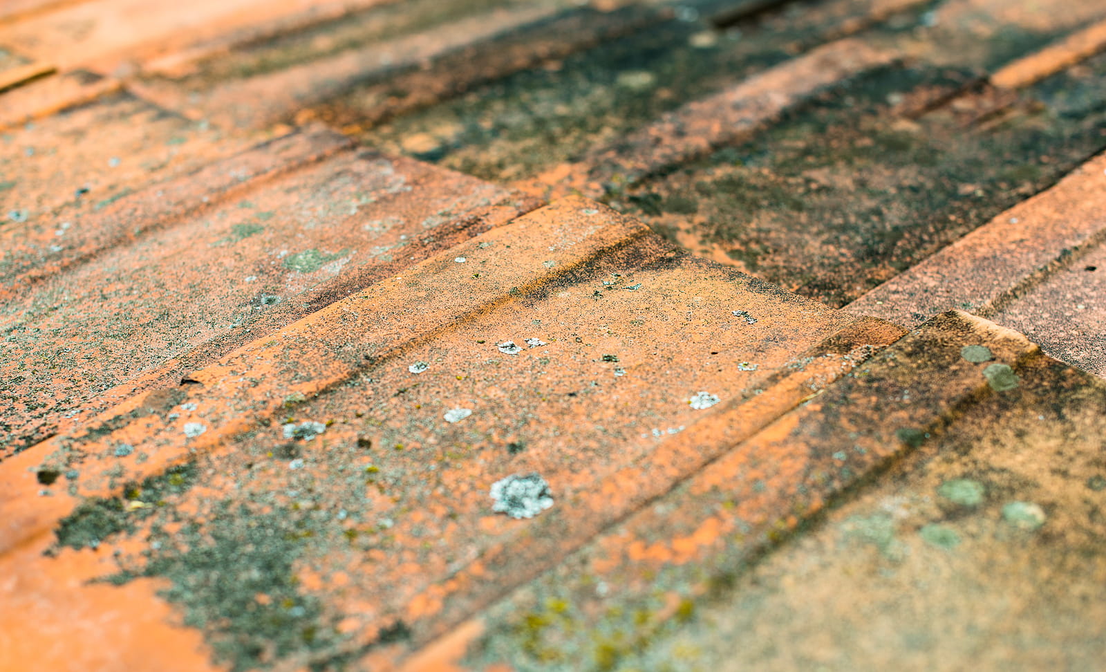 Black Streaks On Roof Shingles